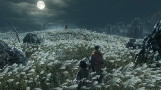 Sekiro: Shadows Die Twice 4K UHD Wallpaper Pack